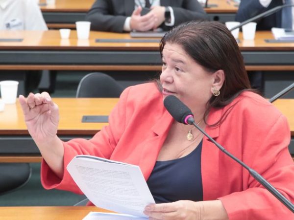 Presidente do BACEN fala sobre atuação do banco em relação à economia. Dep. Laura Carneiro (PSD - RJ)