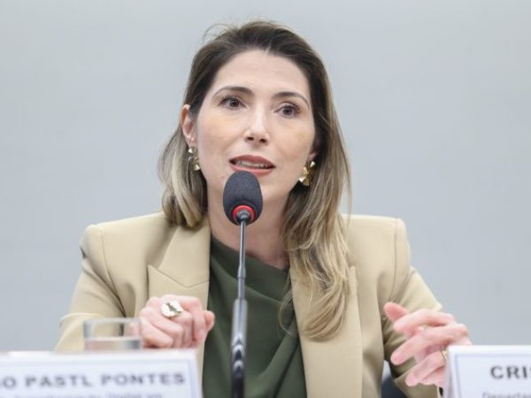 Audiência Pública - Ecossistema e competitividade nacionais - (PL 2338/23). Diretora de Transformação Digital Inovação e Novos Negócios - Ministério de Desenvolvimento Industrial, Inovação, Comércio e Serviços - MDIC, Cristiane Rauen