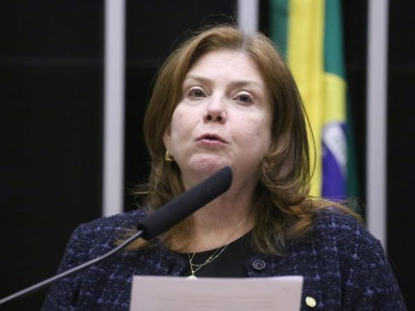 Discussão e votação de propostas legislativas. Dep. Fernanda Pessoa (UNIÃO - CE)