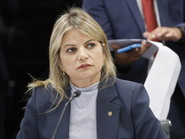 Deputada Flávia Morais (MDB-GO) em reunião na Câmara dos Deputados