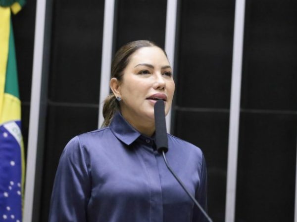 Discussão e Votação de Propostas Legislativas. Dep. Renilce Nicodemos (MDB-PA)