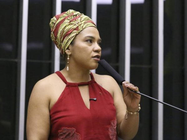 Discussão e votação de propostas legislativas. Dep. Dandara (PT - MG)