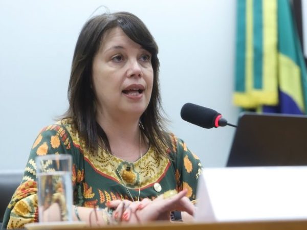 Audiência Pública - Impacto das redes sociais e telas na saúde mental de crianças e adolescentes. Coordenadora do Comitê Gestor da Internet no Brasil - CGI.br - Coordenadoria do Comitê Gestor da Internet no Brasil - CGI.br, Renata Mielli