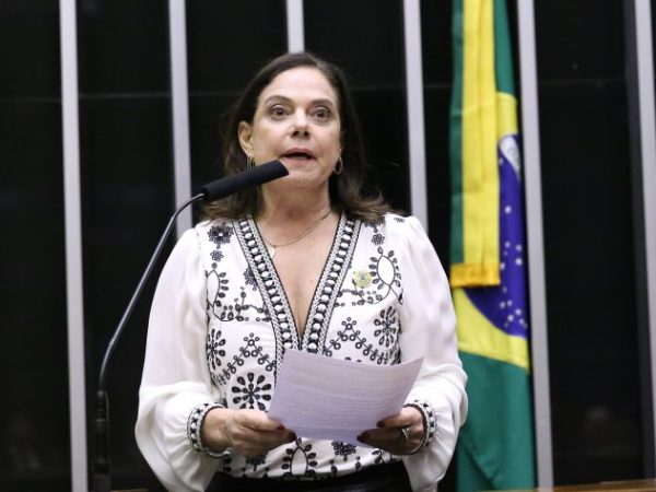 Discussão e votação de propostas legislativas. Dep. Soraya Santos (PL-RJ)