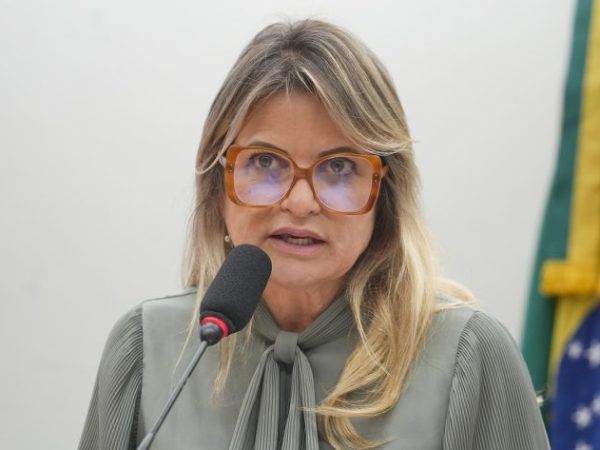 Seminário - Zero Mortes Evitáveis por Câncer de Mama: Acesso, Desafios e o Papel dos Três Poderes e da Sociedade Civil. Dep. Flávia Morais (PDT-GO)
