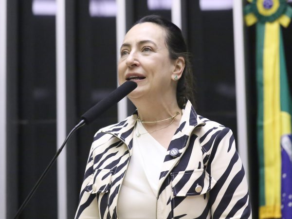 Deputada Rosangela Moro fala ao microfone