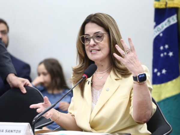 Apresentação do relatório final. Dep. Rogéria Santos (REPUBLICANOS-BA)
