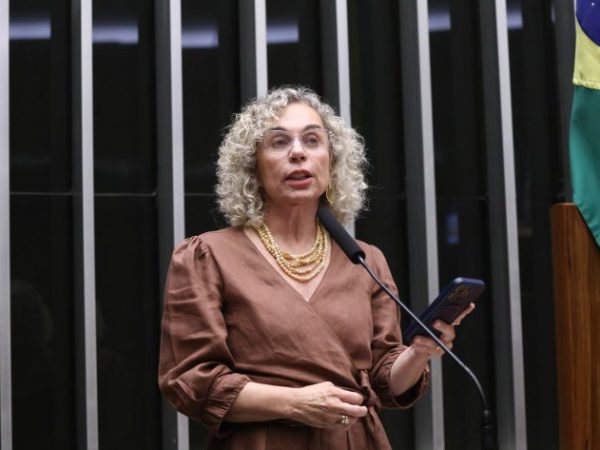 Discussão e votação de propostas legislativas. Dep. Ana Paula Lima (PT - SC)