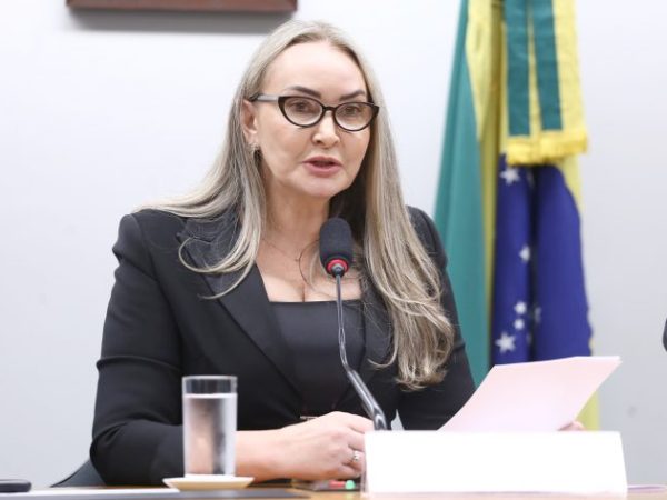Reunião de Instalação e Eleição. Dep. Daniela Reinehr (PL - SC)
