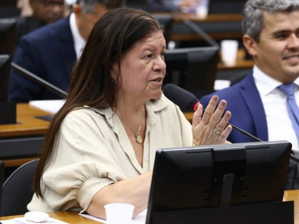 img20260303160950467-768×473 Discussão e votação de propostas legislativas. Dep. Laura Carneiro (PSD-RJ)