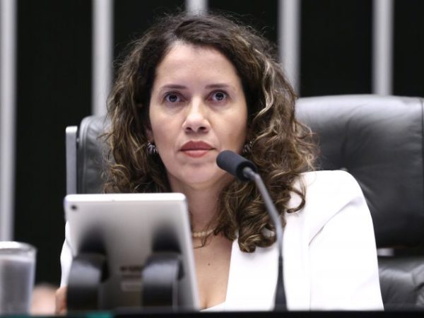 Deputada Denise Pessôa (PT-RS) no Plenário da Câmara dos Deputados