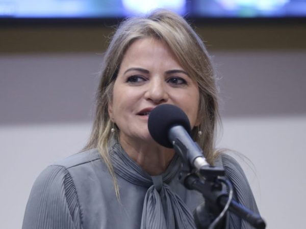 VI Encontro Nacional das Procuradoras da Mulher. Dep. Flávia Morais (PDT - GO)