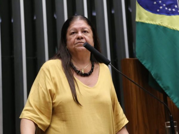 Discussão e votação de propostas legislativas. Dep. Laura Carneiro (PSD - RJ)