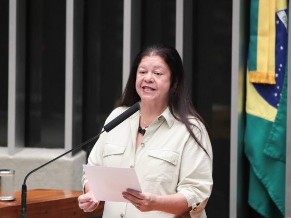 Deputada Laura Carneiro fala ao microfone