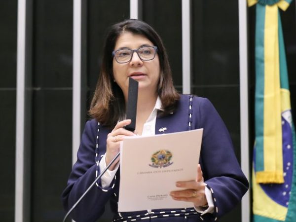 Deputada Carla Dickson fala a microfone