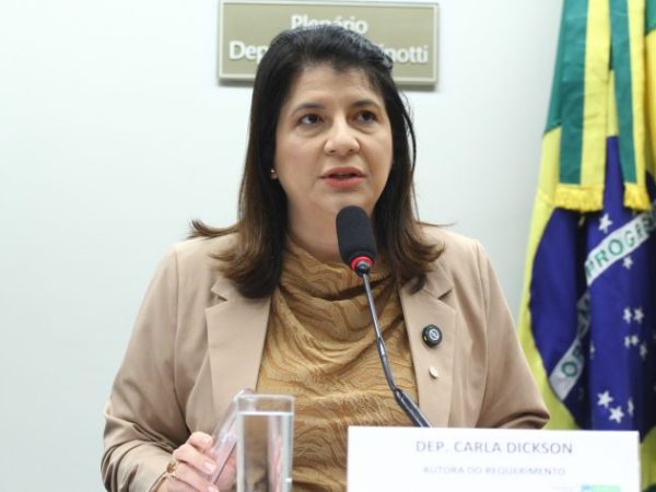 Audiência Pública - Abril Marrom. Dep. Carla Dickson (UNIÃO-RN)