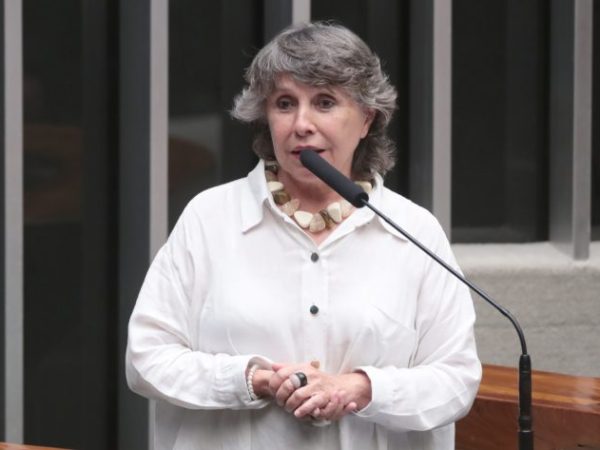 Sessão Solene em Homenagem ao Aniversário de Brasília. Dep. Erika Kokay (PT - DF)