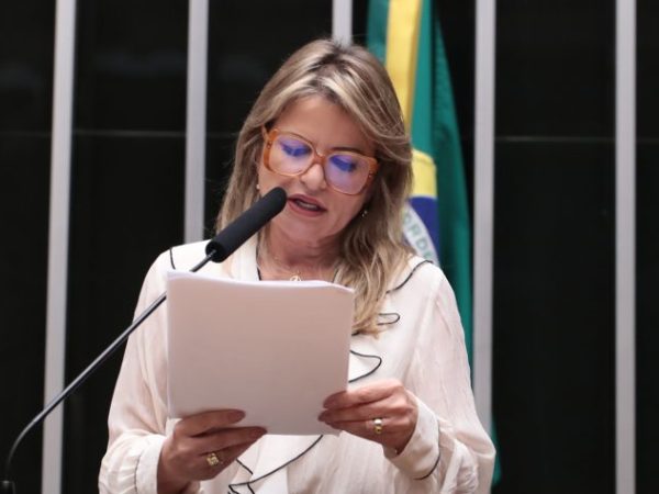 Discussão e votação de propostas legislativas. Dep. Flávia Morais (PDT - GO)