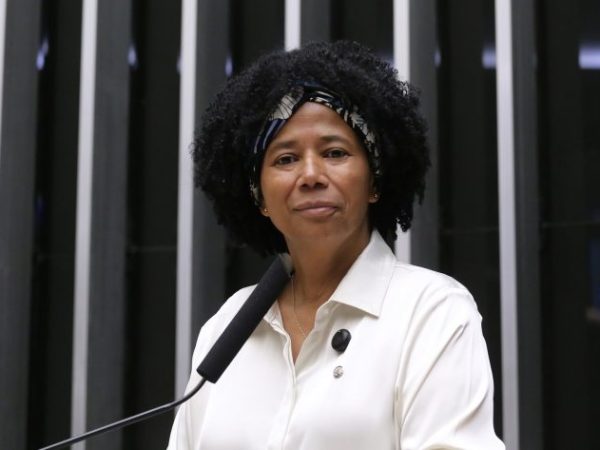 Discussão e votação de propostas legislativas. Dep. Silvia Cristina (PP-RO)