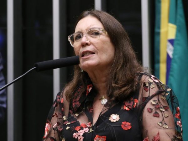 Discussão e votação de propostas legislativas. Dep. Bia Kicis (PL - DF)