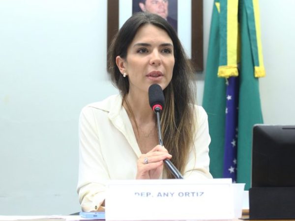 img20260513163619471-768×473 Apresentação do Plano de Trabalho e votação de requerimentos. Dep. Any Ortiz (PP-RS)