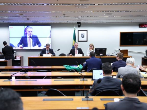 Apreciação de parecer. Dep. Ricardo Maia (MDB-BA). Dep. Fabio Schiochet (UNIÃO-SC)