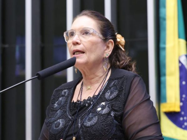 Deputada Bia Kicis fala ao microfone