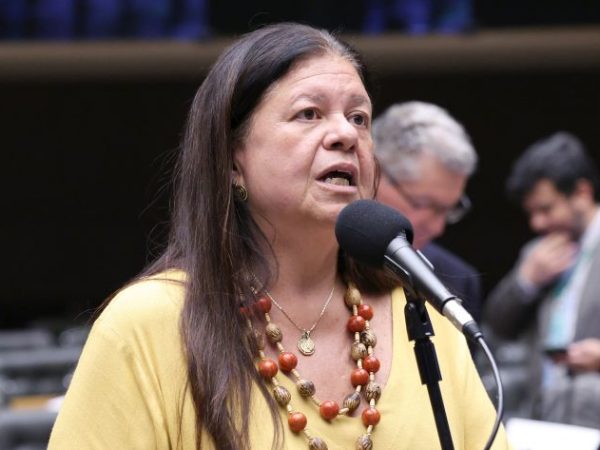 Discussão e Votação de propostas legislativas. Dep. Laura Carneiro (PSD - RJ)