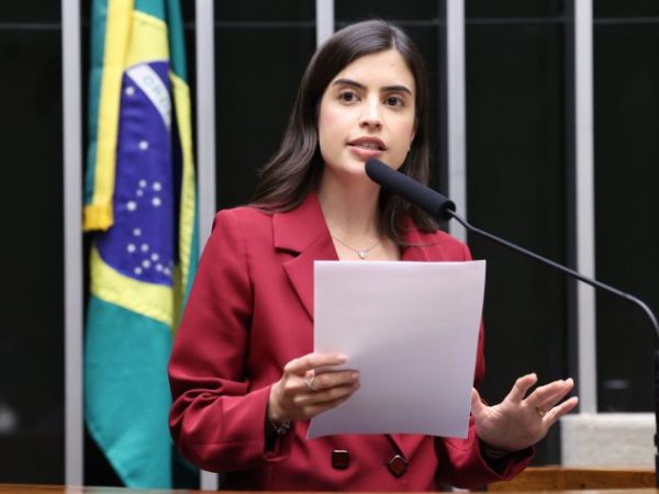 Discussão e votação de propostas legislativas. Dep. Tabata Amaral (PSB - SP)