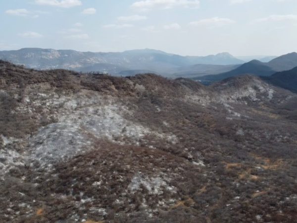 Incêndio florestal no Sertão da Paraíba já consumiu 40% da vegetação nativa em serra — Foto: Beto Silva/TV Paraíba