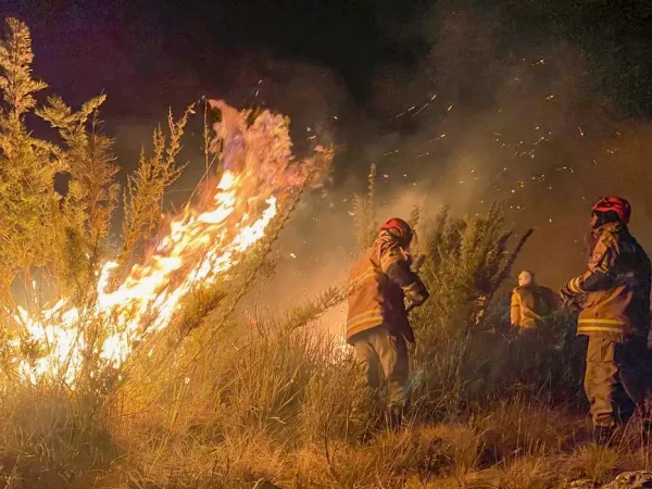 Rio de Janeiro (RJ) 16/06/2024 - Incêndio do Parque Nacional de Itatiaia.
Foto: Corpo de Bombeiros RJ/Divulgação