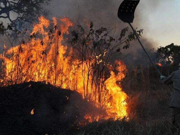 Incêndios florestais no DF