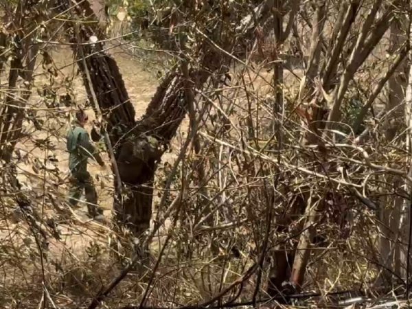 Militares vistoriam área onde avião caiu na Grande Natal — Foto: Sérgio Henrique Santos/Inter TV Cabugi