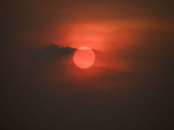 Porto Jofre (MT) 17/11/2023 – Fim de tarde com sol vermelho por conta da fumaça do incêndio florestal que atinge o Pantanal.
Foto: Joédson Alves/Agência Brasil