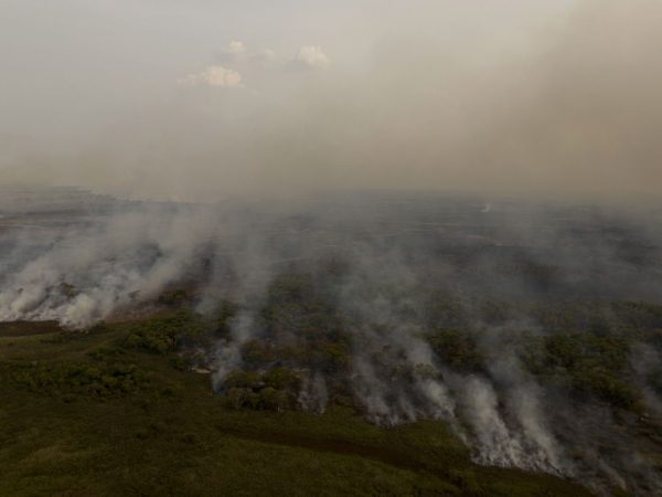 Porto Jofre (MT) 16/11/2023 –Brigadistas do ICMBIO combatem incêndio florestal que atinge o Pantanal
Foto: Joédson Alves/Agência Brasil