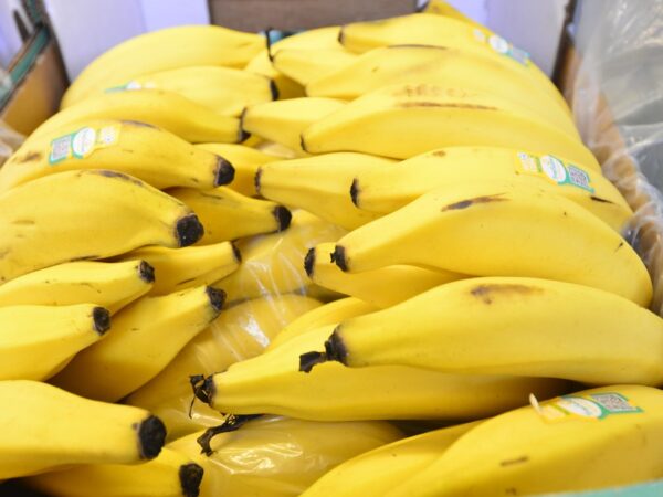 Banana está entre os seis produtos  que tiveram aumento nos preços médios — Foto: Júlio César Costa/g1