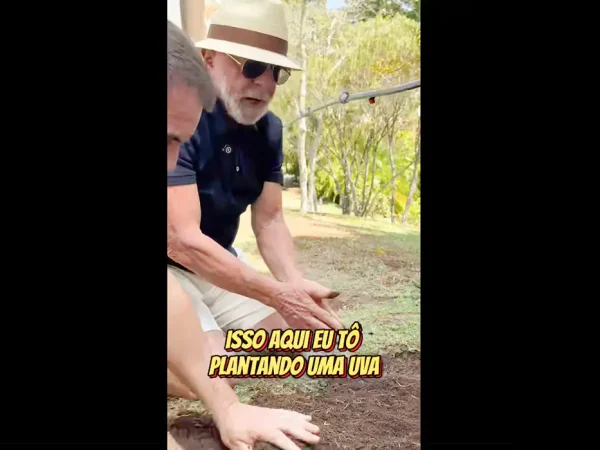 Rio de Janeiro (RJ), 17/08/2025 - Presidente Luiz Inácio Lula da Silva é visto plantando uva.
Frame Lulaoficial/intagram