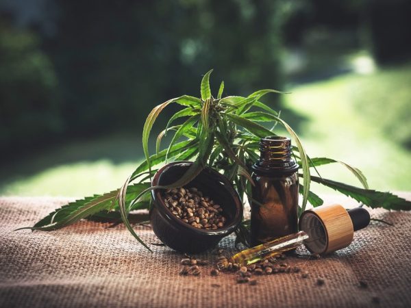 Cannabis medicinal — Foto: Pixabay