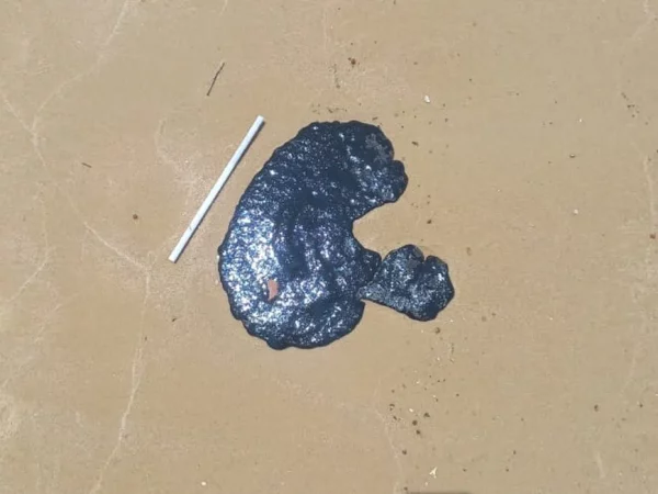 Manchas de óleo são encontradas por banhistas em praia do litoral Sul potiguar — Foto: Secretaria Municipal do Meio Ambiente e Urbanismo (Nísia Floresta)