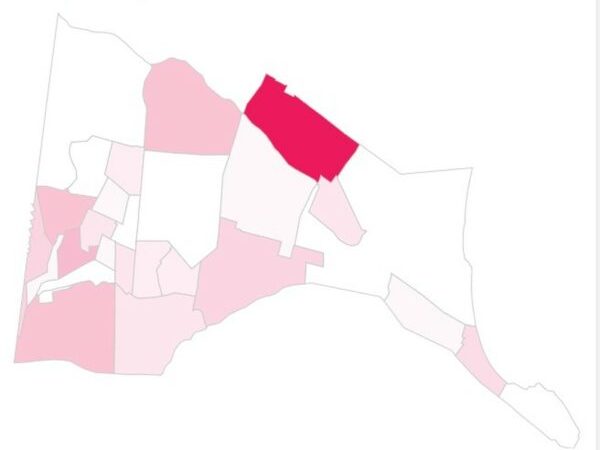 Quatro bairros concentram 52% dos casos — Foto: Reprodução/LAIS