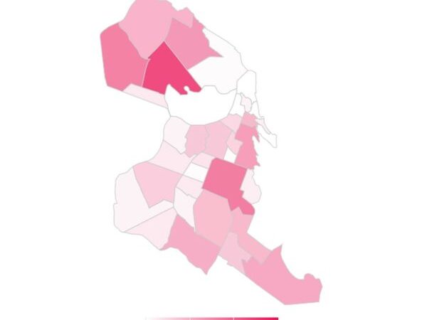 Potengi é o bairro com o maior número de casos na cidade. Dados são do mapa elaborado pelo Laboratório de Inovação Tecnológica em Saúde (Lais) — Foto: Lais/UFRN