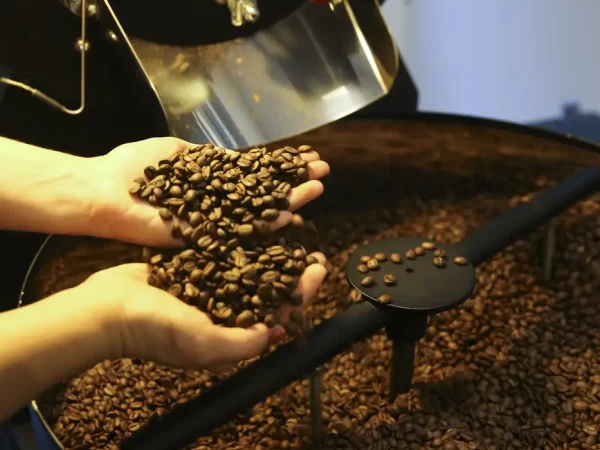 Pequenas torrefações preparam grãos especiais de café