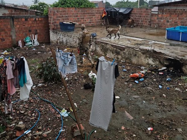 Operação contra tráfico de drogas cumpre mandados de busca e apreende dinheiro no Brejo da PB — Foto: Polícia Civil/Divulgação