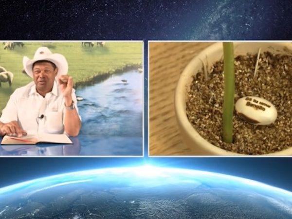 Igreja Mundial do Poder de Deus postou vídeos em redes sociais oferecendo semente de feijão por até R$ 1 mil cada — Foto: Reprodução/Youtube