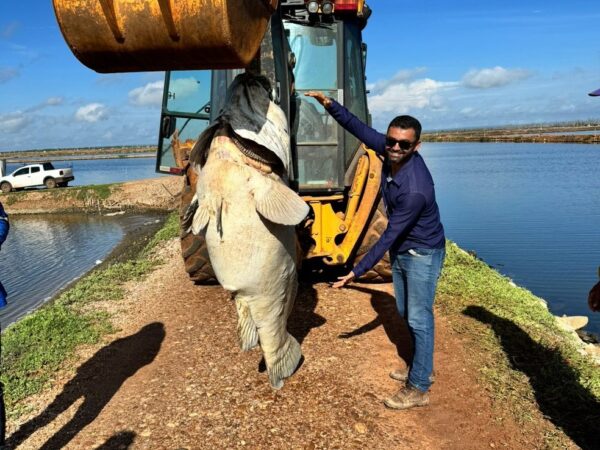 Funcionário de fazenda mostra tamanho do peixe encontrado na manhã desta terça-feira (5) no interior do Rn — Foto: Cedida