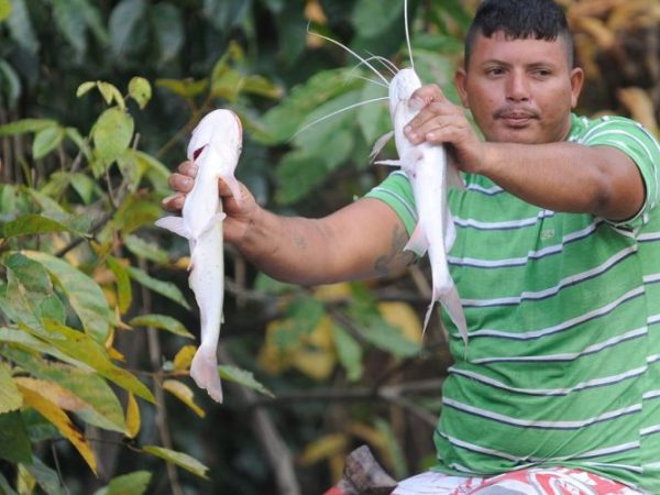 Cerca de 65 mil pescadores poderão receber o benefício — Foto: Tomaz Silva/Agência Brasil