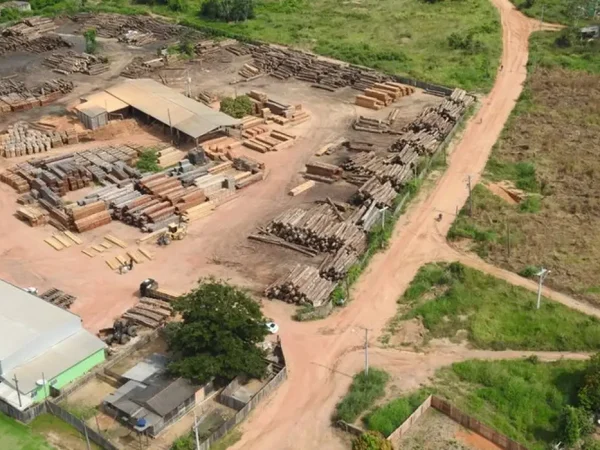 Polícia Federal faz operação em Terra Indígena Karipuna, em Rondônia.