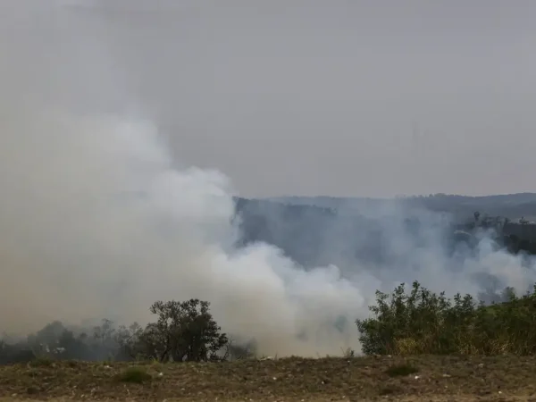 São Paulo (SP) 24/08/2024 - Foco de incêndio próximo a rodovia presidente Castelo Branco, o governo de São Paulo cria gabinete de crise para combate a incêndios
Estradas são interditadas e 30 municípios estão em alerta máximo
Foto: Paulo Pinto/Agência Brasil