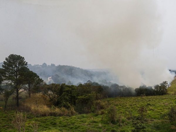 São Paulo (SP) 24/08/2024 - Foco de incêndio próximo a rodovia presidente Castelo Branco, o governo de São Paulo cria gabinete de crise para combate a incêndios
Estradas são interditadas e 30 municípios estão em alerta máximo
Foto: Paulo Pinto/Agência Brasil