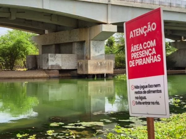 Placa instalada pela prefeitura de Assu alerta para presença de piranhas — Foto: Prefeitura de Assu/Divulgação